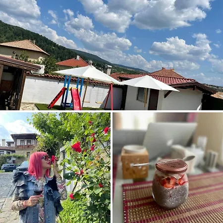 Pensionat Boris House 4*
