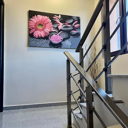 Πανσιόν Boris House Ognyanovo (Blagoevgrad)