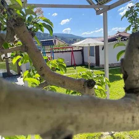 Boris House Guest house