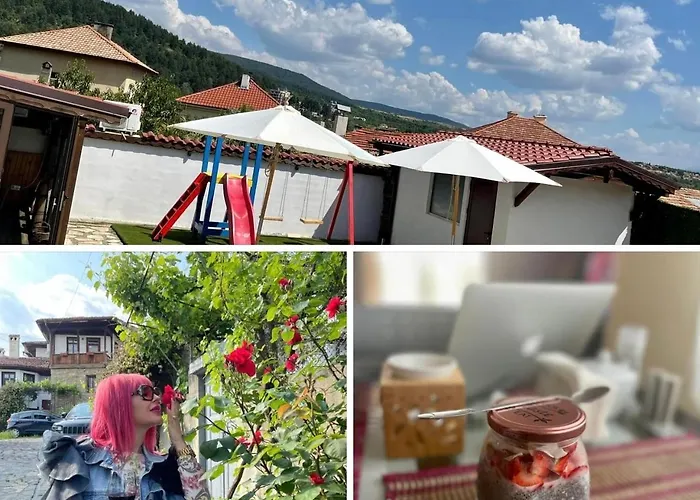 Guest house Boris House 4*