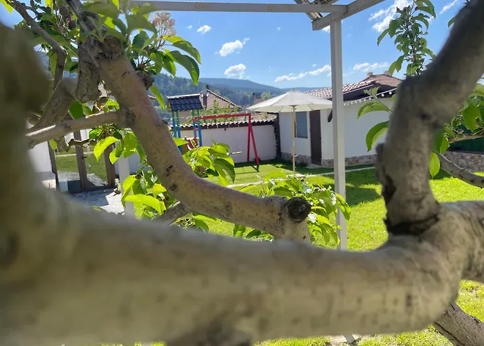 Boris House Guest house