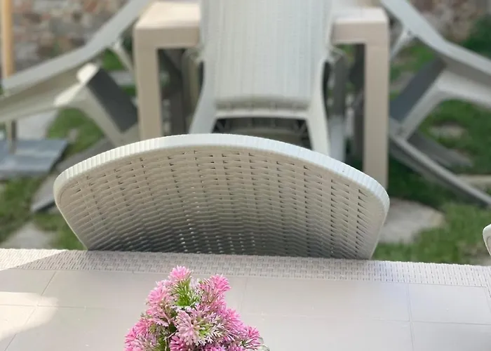 Guest house Boris House